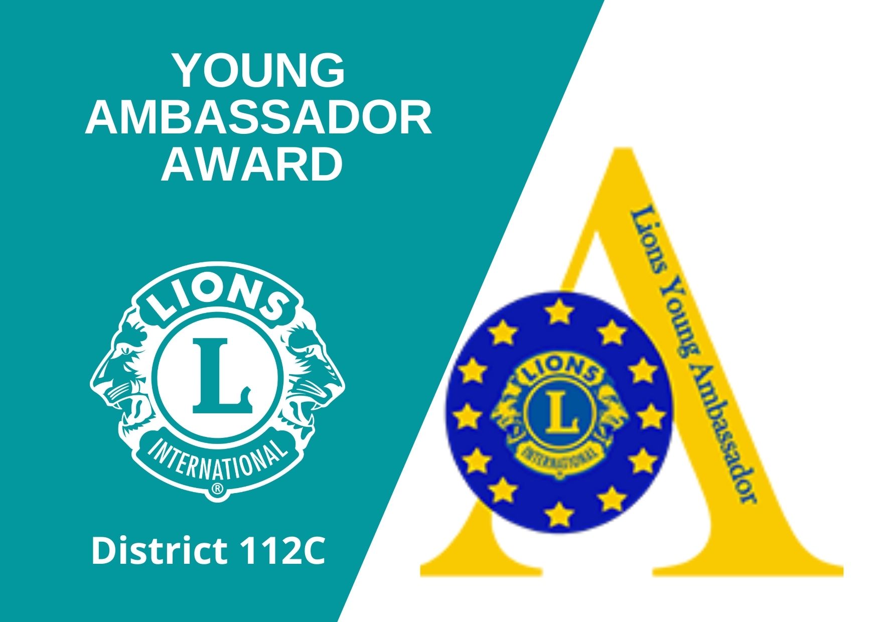 Young ambassador award